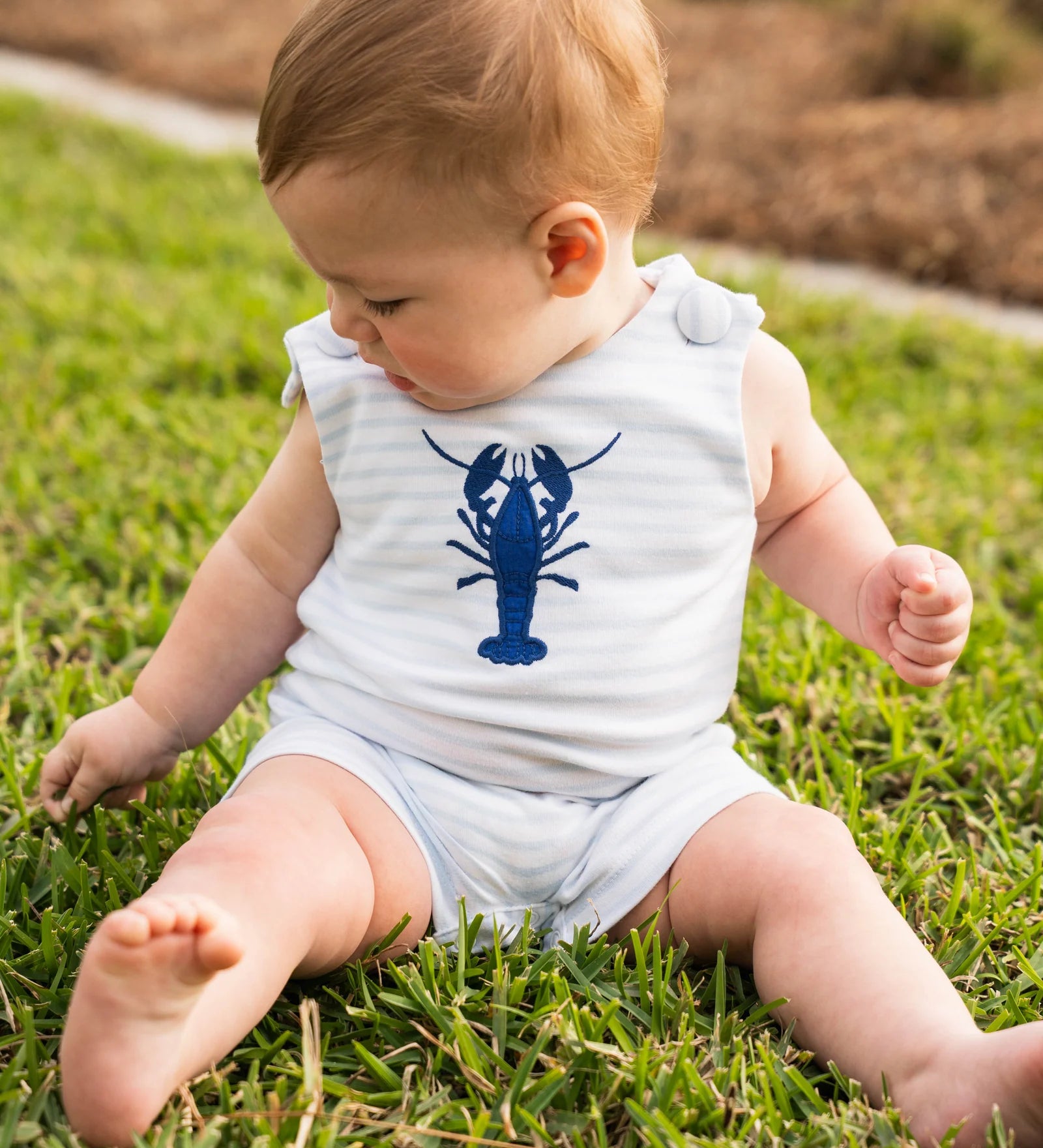 Lobster Shortall - Light Blue Stripe