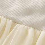 Baby Long Sleeve Tulle Sparkle Dress-White